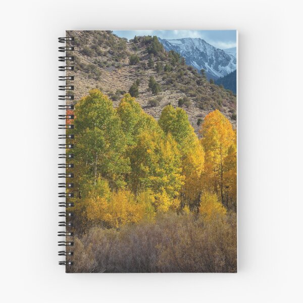 Item preview, Aspen Forest in Autumn  designed and sold by jvnimages.