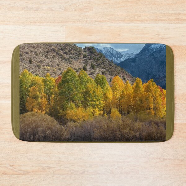Item preview, Aspen Forest in Autumn  designed and sold by jvnimages.