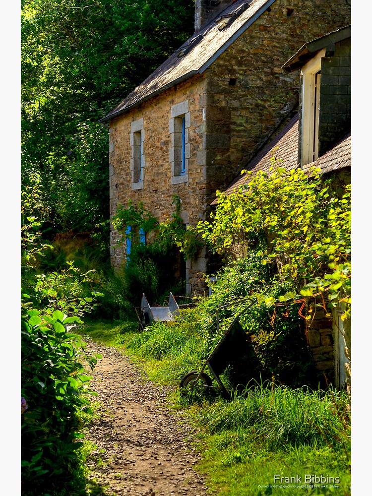 House, Bois d'Amour 2012 by organicman2