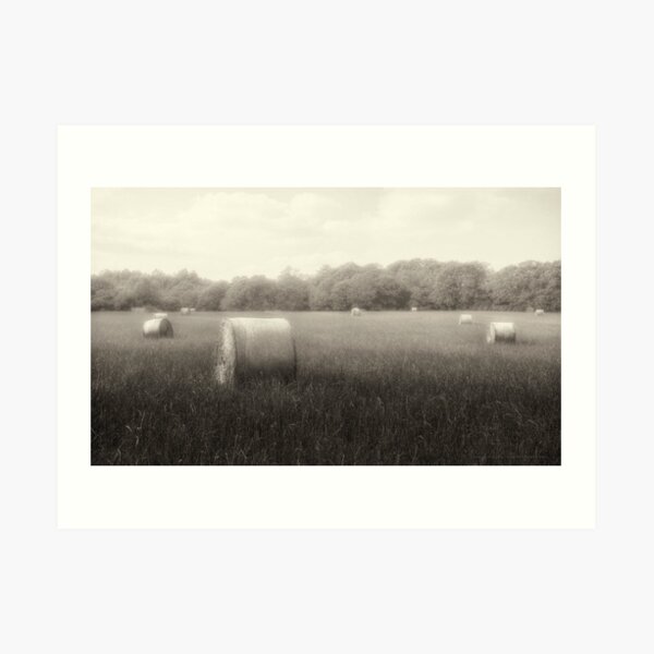 Hayfield in Fog 2012 Art Print