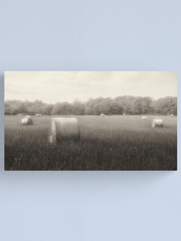 Alternate view of Hayfield in Fog 2012 Canvas Print