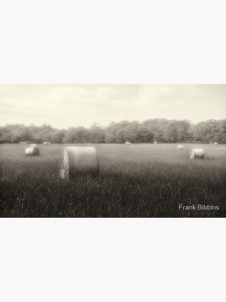 Hayfield in Fog 2012 by organicman2