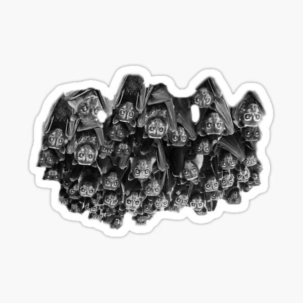 Bat Colony - All Eyes On You Sticker