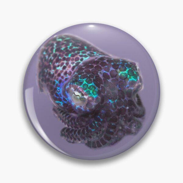 Item preview, Glitter Purple Bobtail Squid designed and sold by ScubaPrincesss.