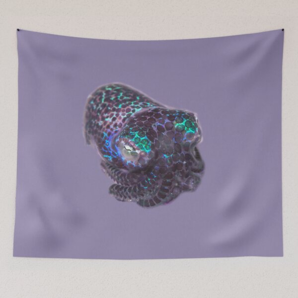 Item preview, Glitter Purple Bobtail Squid designed and sold by ScubaPrincesss.