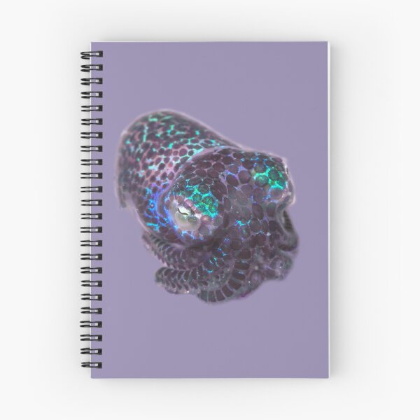 Item preview, Glitter Purple Bobtail Squid designed and sold by ScubaPrincesss.