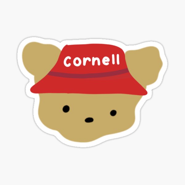 Cute Cornell Bear in bucket hat Sticker