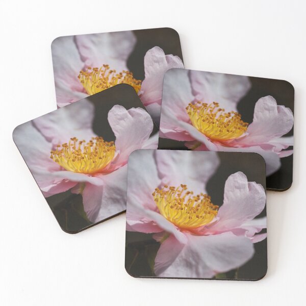 Item preview, Camellia Of Curves designed and sold by Joy Watson - Natural Light Photography .