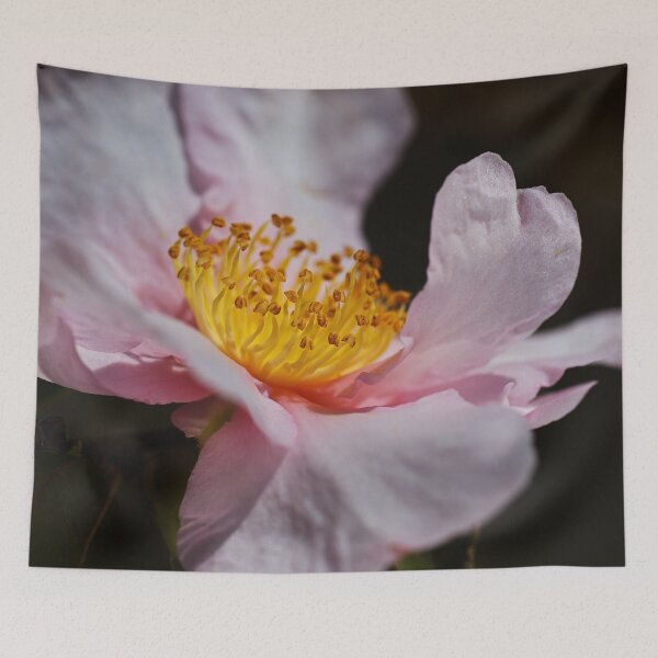 Item preview, Camellia Of Curves designed and sold by Joy Watson - Natural Light Photography .