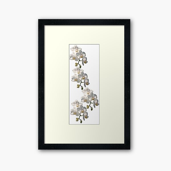 Framed Print