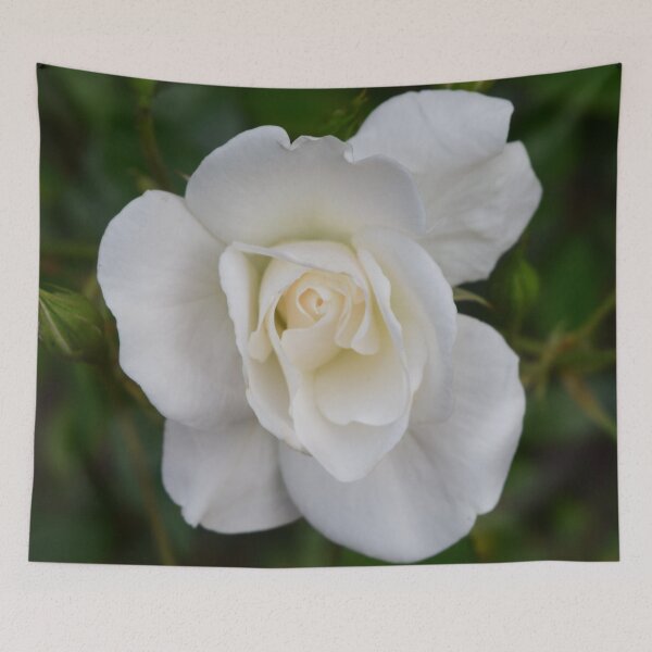 Item preview, White rose designed and sold by Linnys-Designs.