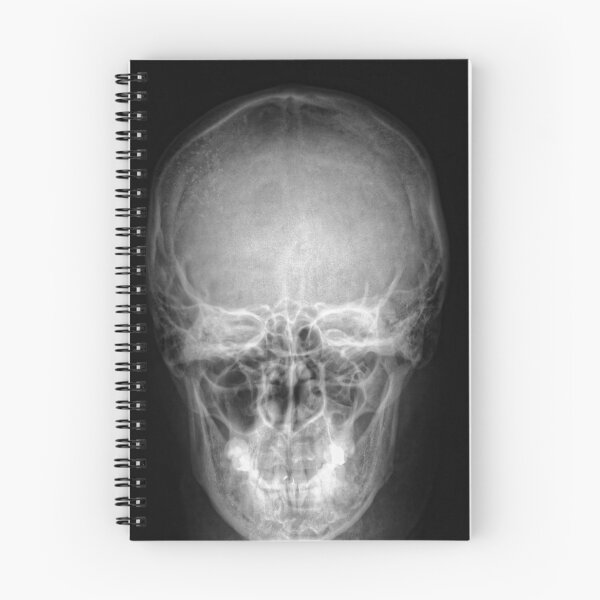 Item preview, skull of human designed and sold by Claraveritas.