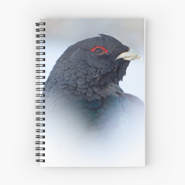 Item preview, Capercaillie in snow designed and sold by Jenny Hibbert.