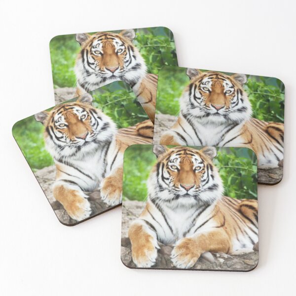 Item preview, Tiger designed and sold by Shailesh Shirgaonkar.