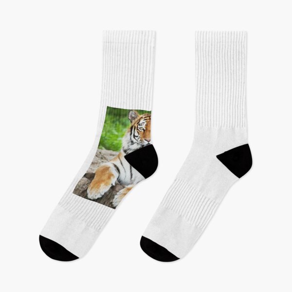 Item preview, Tiger designed and sold by Shailesh Shirgaonkar.