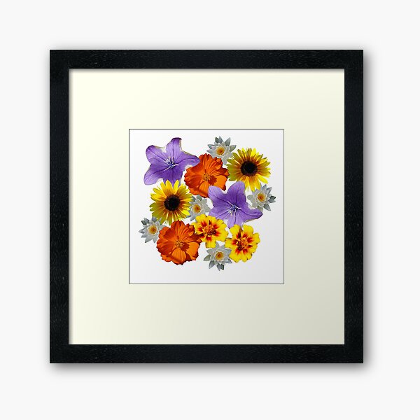 Framed Print