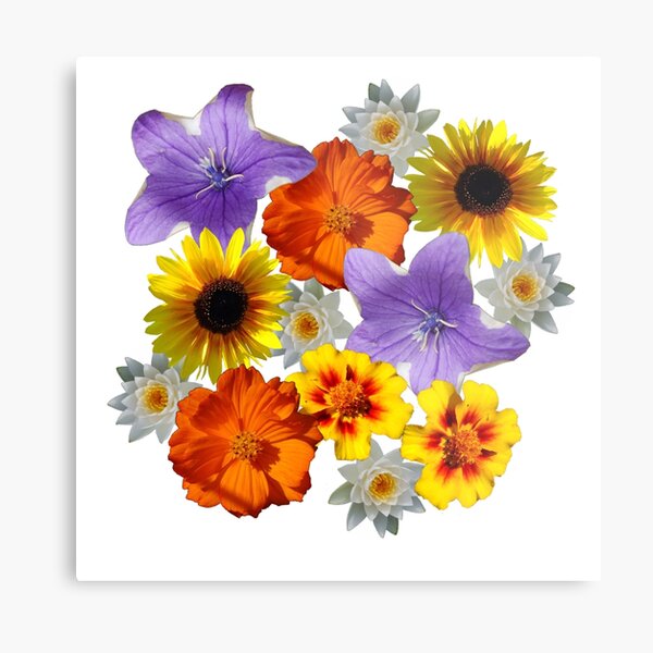Metal Print