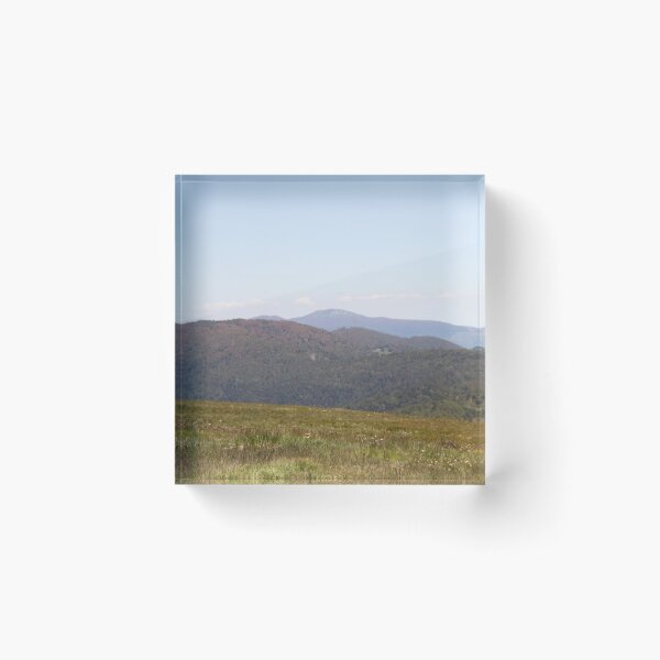 Item preview, Vosges beech forest burned by freezing designed and sold by EstelleRossetti.