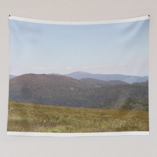Item preview, Vosges beech forest burned by freezing designed and sold by EstelleRossetti.