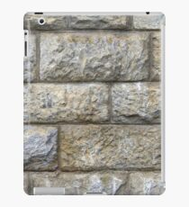 Wall iPad Case/Skin