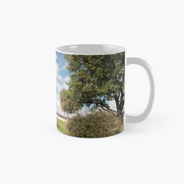 Item preview, View of the Pskov  fortress designed and sold by mrivserg.