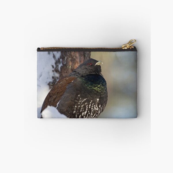 Item preview, Capercaillie resting designed and sold by Jenny Hibbert.