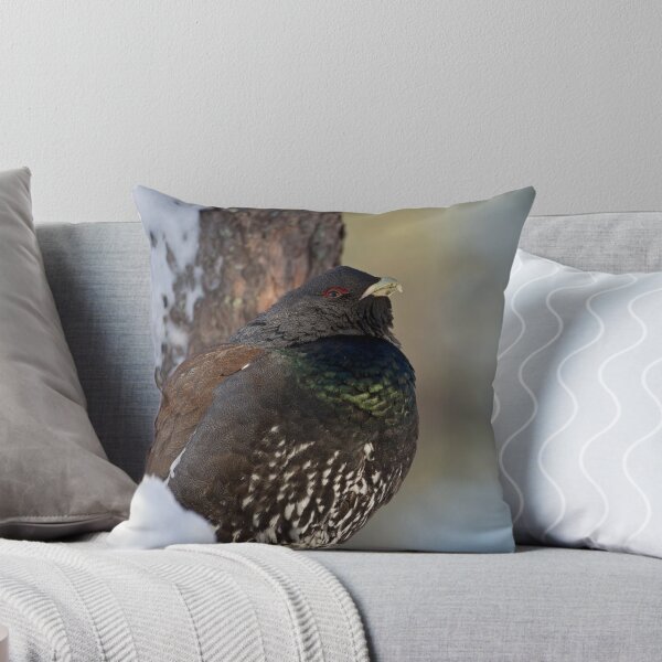 Item preview, Capercaillie resting designed and sold by Jenny Hibbert.