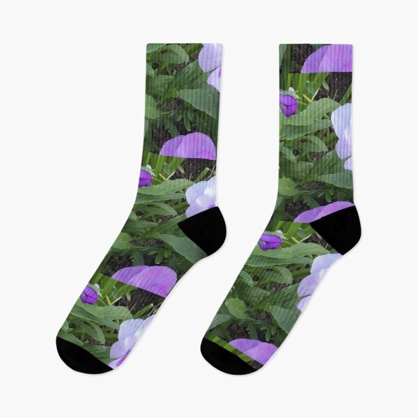 Item preview, Purple pansies1 designed and sold by MaureenBoyle.