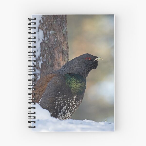 Item preview, Capercaillie designed and sold by Jenny Hibbert.