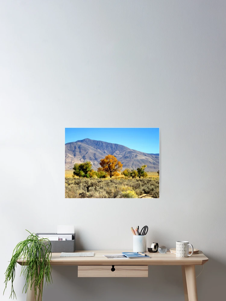 Thumbnail 2 of 3, Poster, Setting Pretty designed and sold by MARILYN DIAZ.