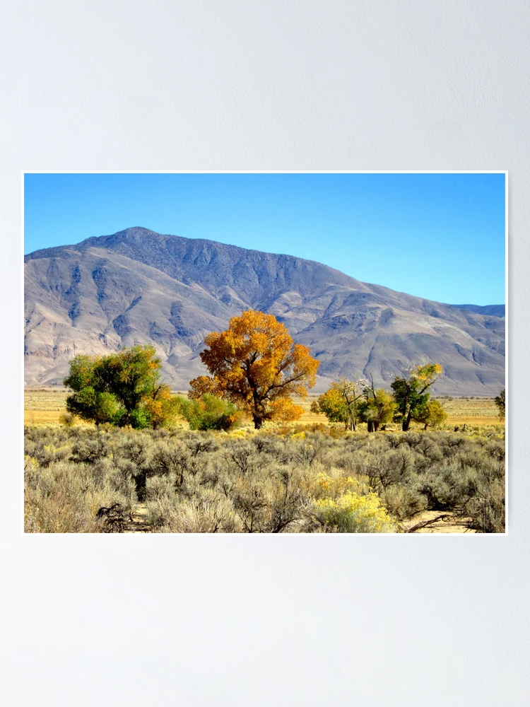 Thumbnail 1 of 3, Poster, Setting Pretty designed and sold by MARILYN DIAZ.