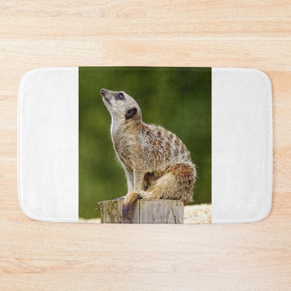 Item preview, Meerkat (Suricata suricatta) designed and sold by Andy Harker.