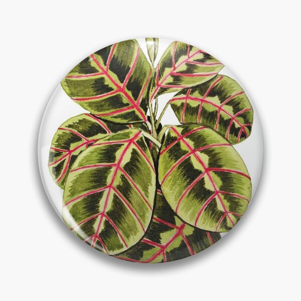 Item preview, Maranta Prayer Plant In Watercolor designed and sold by Oirabot.