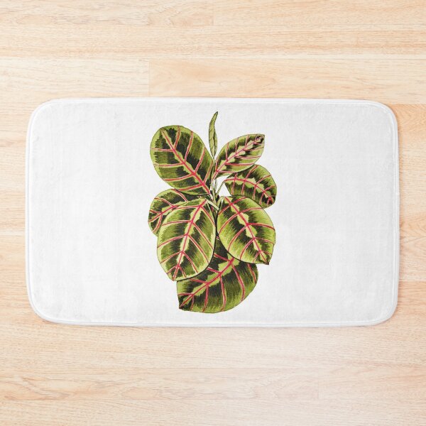 Item preview, Maranta Prayer Plant In Watercolor designed and sold by Oirabot.