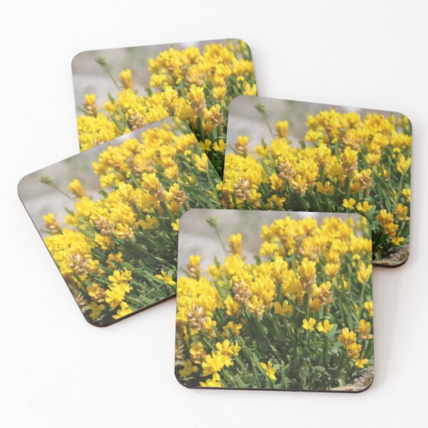 Item preview, Yellow fresh mountains succulent flower bed designed and sold by EstelleRossetti.