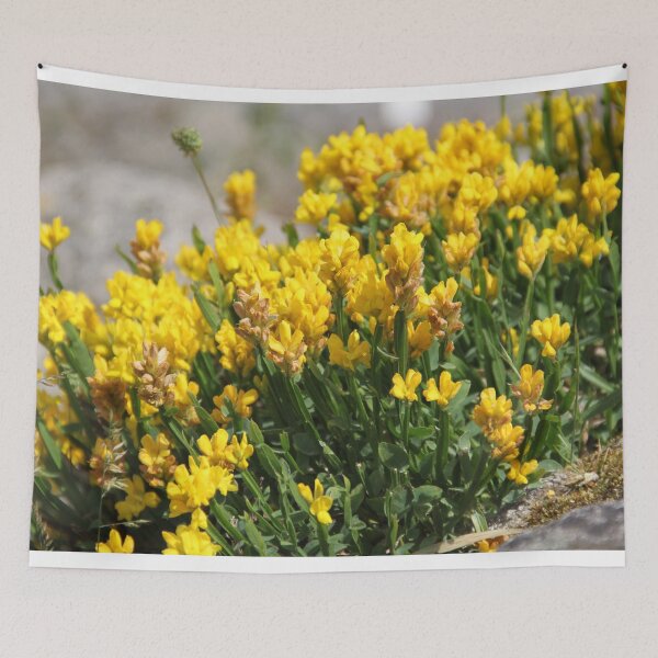 Item preview, Yellow fresh mountains succulent flower bed designed and sold by EstelleRossetti.