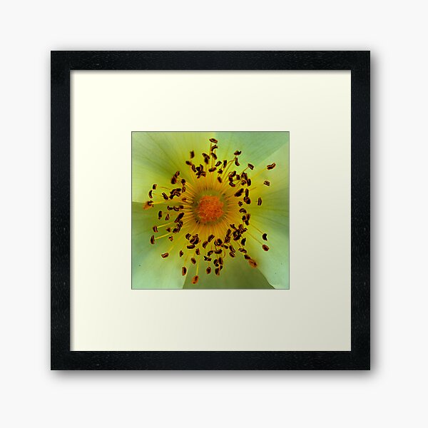 Item preview, Yellow Magic Flower designed and sold by Randall Talbot.