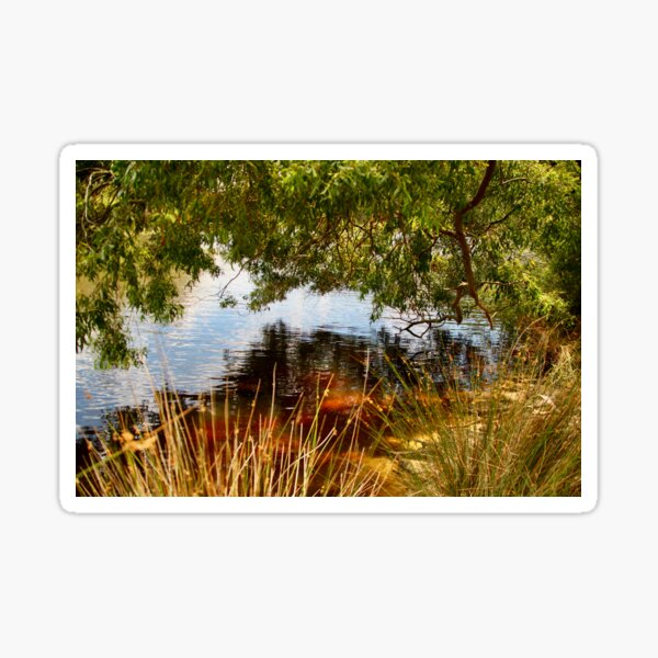 Item preview, Reflecting on the Res. Macedon, Vic designed and sold by Susan Henry.