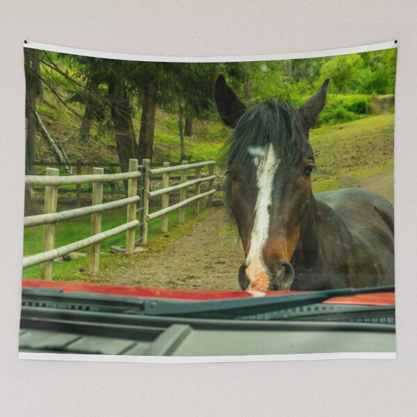 Item preview, Montana Traffic Stop designed and sold by Bryan Spellman.