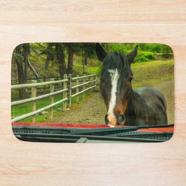 Item preview, Montana Traffic Stop designed and sold by Bryan Spellman.