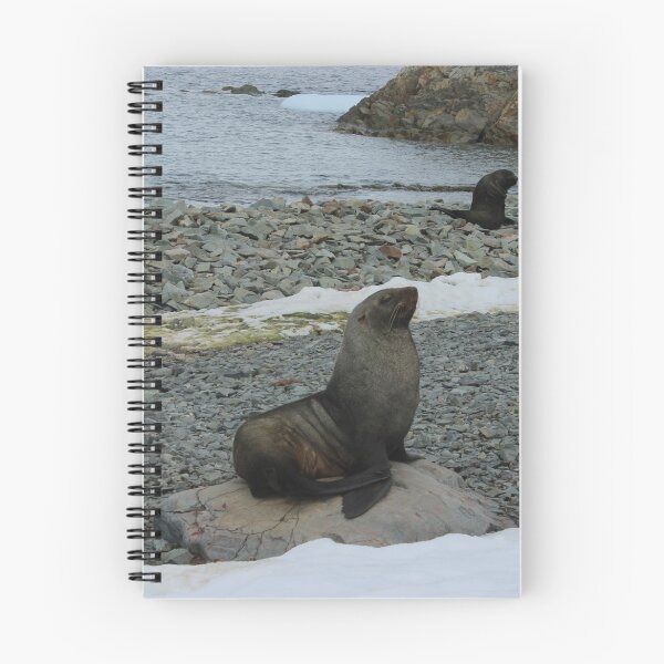 Item preview, Statuesque Seal designed and sold by mischif.