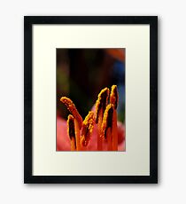 Stamens Framed Print