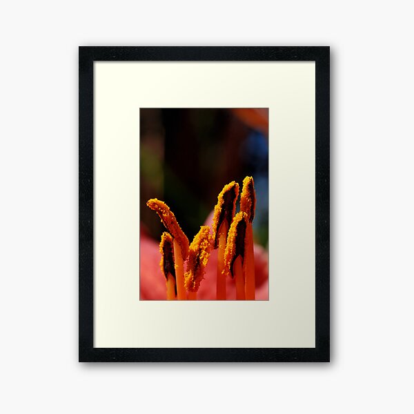 Item preview, Stamens designed and sold by Randall Talbot.
