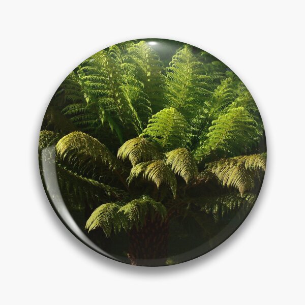 Item preview, Tree fern designed and sold by alanoix.