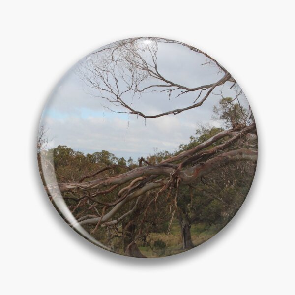 Item preview, Gnarly, eucalypt arch. Macedon, Victoria designed and sold by Susan Henry.