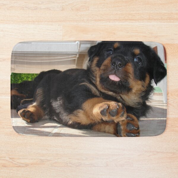 Item preview, Cute Rottweiler Puppy Being Playful designed and sold by taiche.