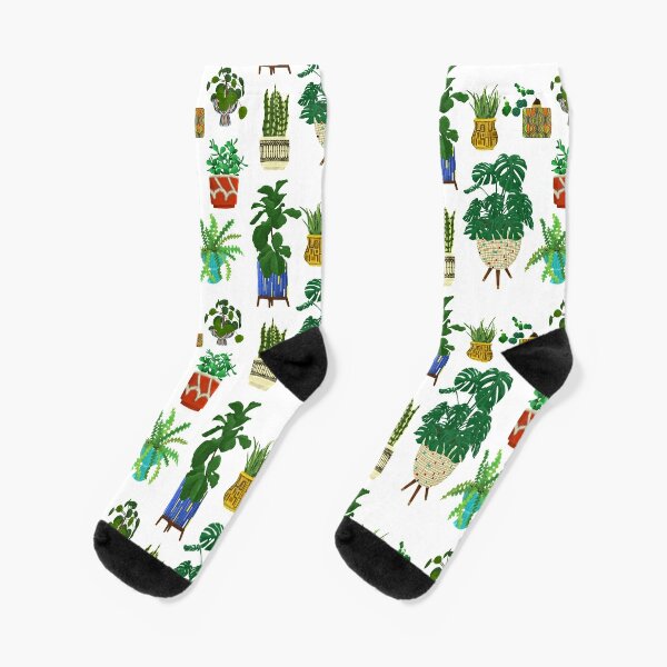 Aloe Socks for Sale