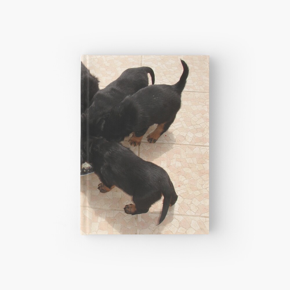 Nine Rottweiler Puppies Eating From One Food Bowl