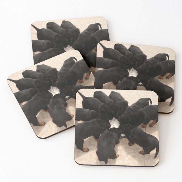 Item preview, Nine Rottweiler Puppies Eating From One Food Bowl designed and sold by taiche.