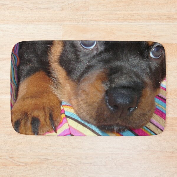 Item preview, Young Female Rottweiler Making Eye Contact designed and sold by taiche.